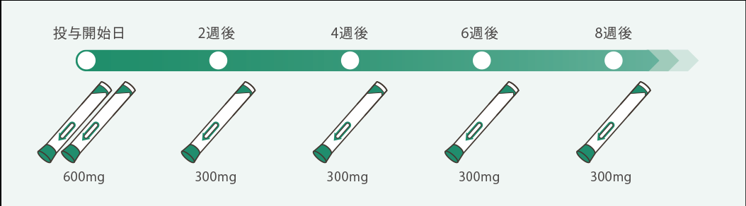 投与スケジュール